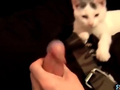 Cute tramp plays take his kitten and jerks off